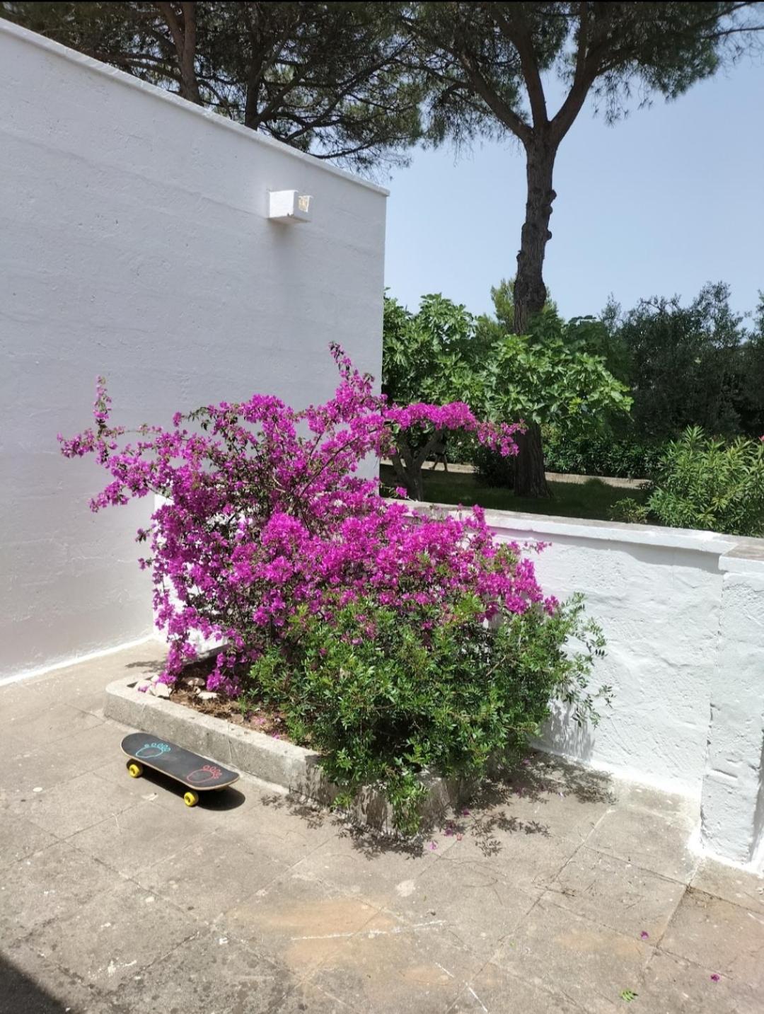 Villa Casa Azzurra Conca Specchiulla Esterno foto